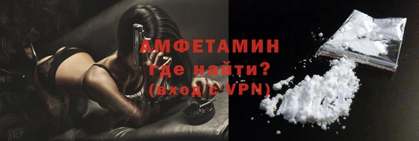 сатива Богданович